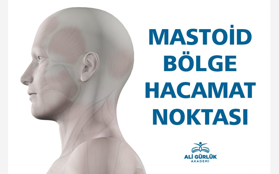 MASTOİD BÖLGE HACAMAT NOKTASI